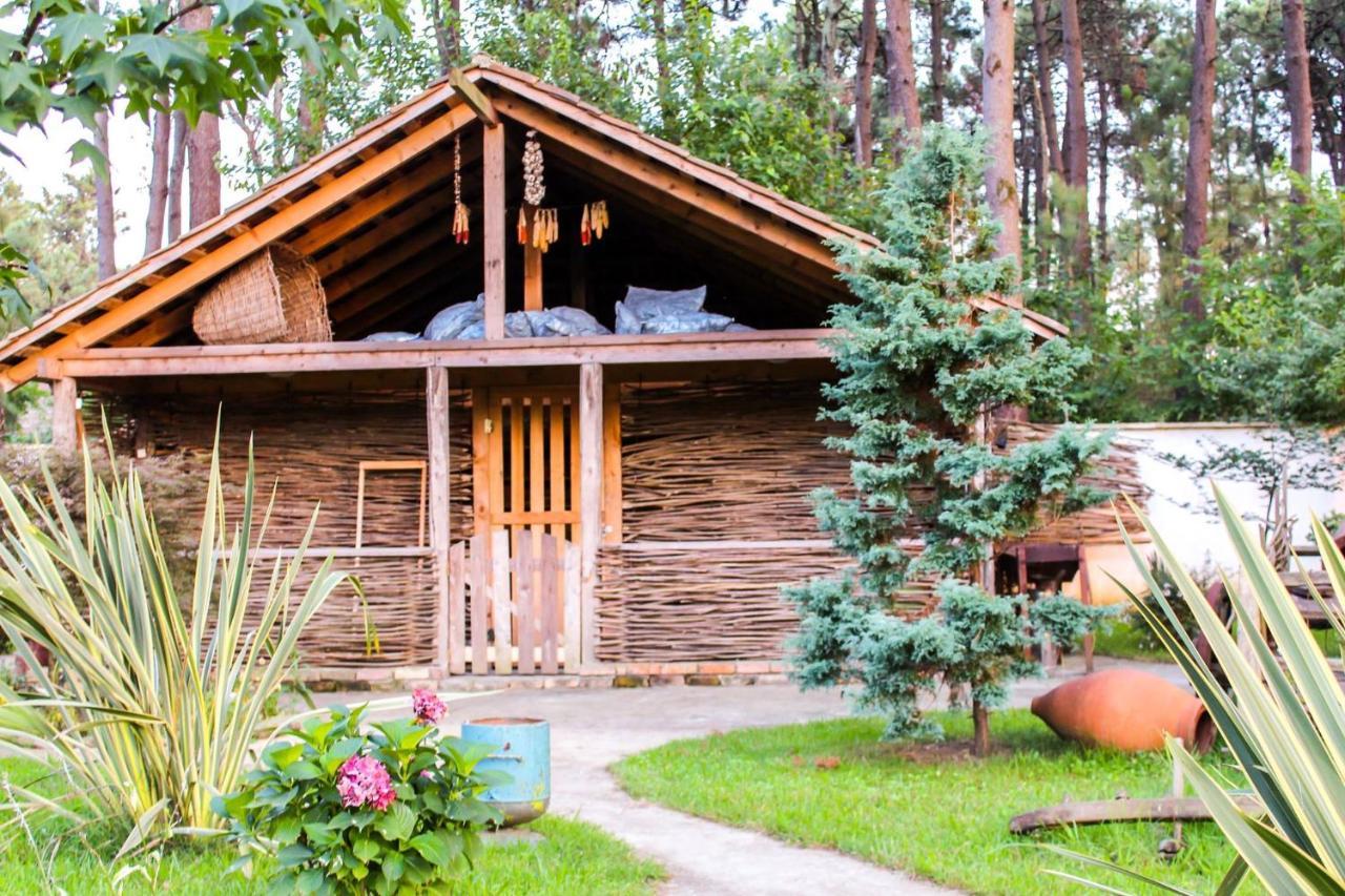 Kolkhida Resort & Spa Ureki Exteriér fotografie
