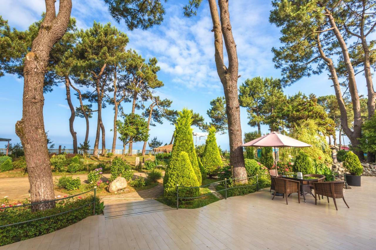 Kolkhida Resort & Spa Ureki Exteriér fotografie